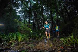 BIB: 
                            <button type="button" onclick="openModal(19243061)" class="btn btn-primary btn-sm float-right btn-popup" data-toggle="modal" data-target=".modal-high-quality">
                        <i class="fas fa-shopping-cart"></i> Add to Cart
                    </button>
                                            <button type="button" onclick="isThisMe(19243061, true)" class="btn btn-success btn-sm float-right btn-popup btn-isme hidden" data-toggle="tooltip" data-placement="bottom" title="นี่คือรูปของคุณใช่ไหม คลิกที่นี่เพื่อเอาเข้าอัลบั้ม">
                        <i class="fas fa-plus"></i> Add to album
                    </button>
                    <button type="button" onclick="isThisMe(19243061, false)" class="btn btn-warning btn-sm float-right btn-popup btn-isnotme hidden">
                        <i class="fas fa-ban"></i> Remove from album
                    </button>